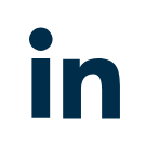 Icona LinkedIn
