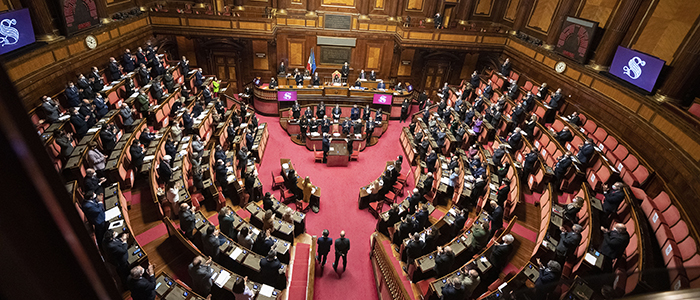 Senato - Fiducia al governo Letta